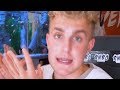 Jake Paul Is A Hypocrite