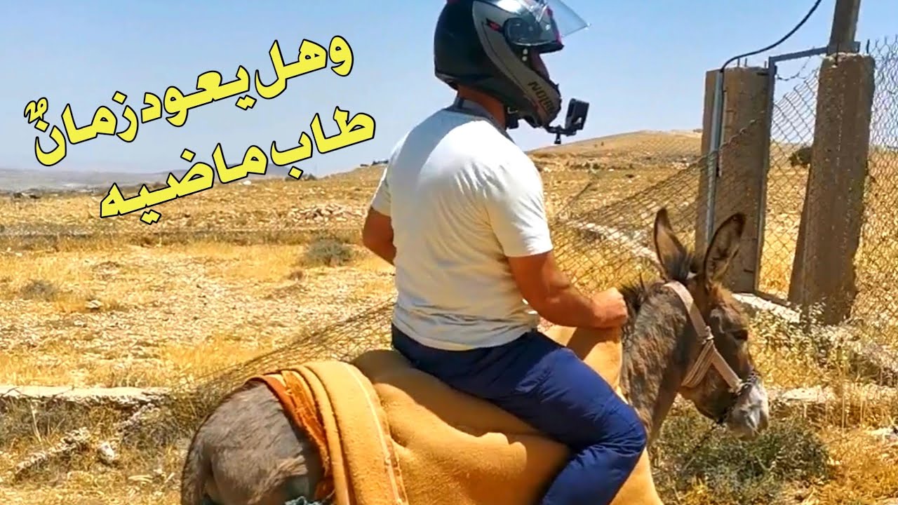 الجزء الاول | مبيت في فندق درب ضانا | Dana’s Trail Hotel