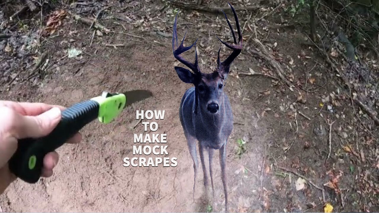 How to make MOCK SCRAPES and WHERE to place them!! - YouTube