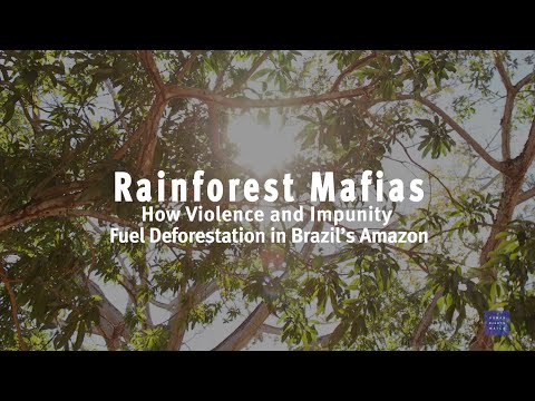 Rainforest Mafias: How Violence and Impunity Fuel Deforestation in Brazil's Amazon