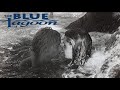 The Blue Lagoon ~ by Basil Poledouris
