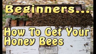 As a new beekeeper there is a lot to learn. One of the biggest things is where and how to get honey bees. In this video, I