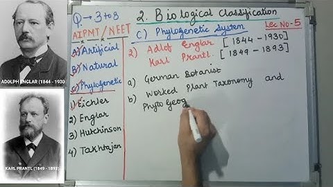 BIOLOGY -NEET - BIOLOGICAL CLASSIFICATION - PHYLOGENETIC SYSTEM OF CLASSIFICATION -  ENGLAR & PRANTL