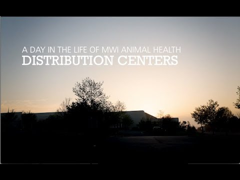 supplies shorts Distribution Centers