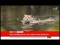 Weather Events - May heatwaves - Europe, India & Pakistan (4) (UK) 25/May/2026