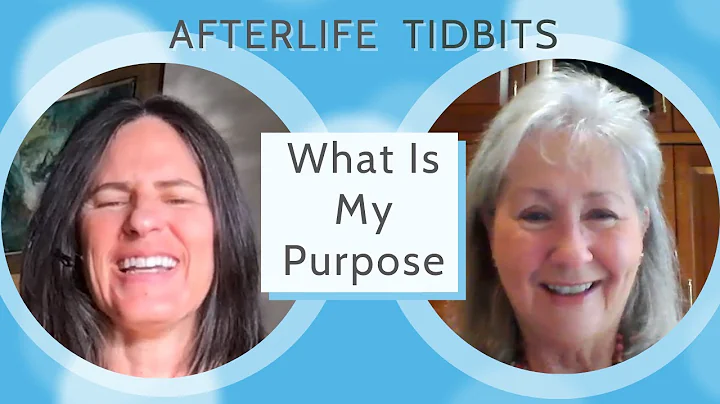 Who Am I? What is My Purpose? NDE Afterlife Tidbit