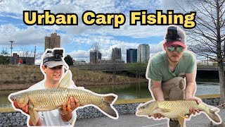 Carp Fishing in Downtown Birmingham!