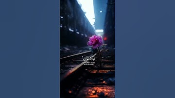 أإله مع الله.. #تلاوات #قرآن #quran #تلاوة_خاشعة #احمد_النفيس #ريحانة_قرآن