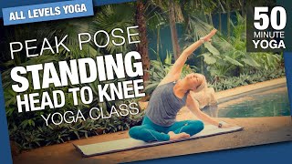 Standing Head to Knee Peak Pose Yoga Class - Five Parks Yoga - 45+ Minute Class