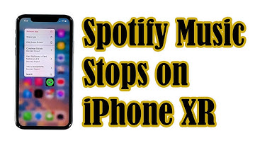 Spotify Music Pauses or Stops on iPhone XR After iOS 14.2