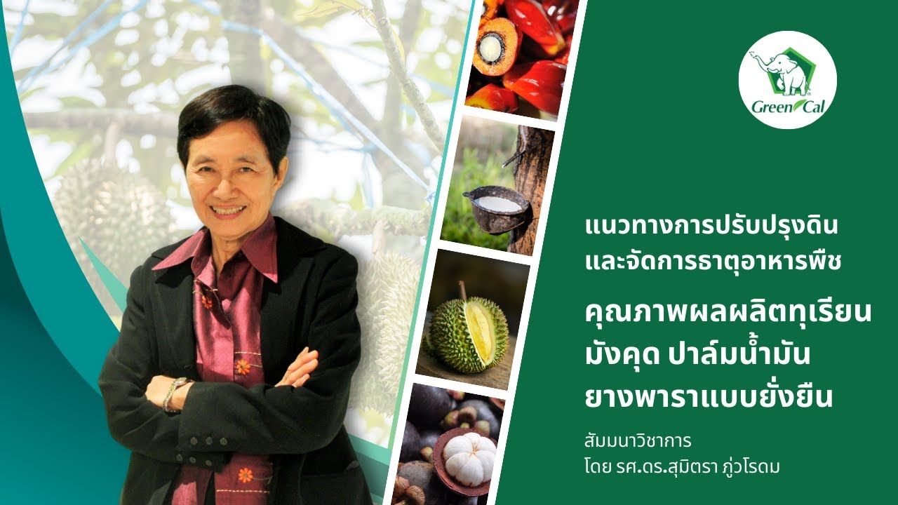 GreenCal | รศ.ดร.สุมิตรา ภู่วโรดม สัมมนาแนวทางการปรับปรุงดินและจัดการธาตุอาหารพืช จ.สุราษฎร์ธานี