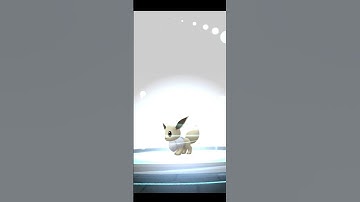 What is the best Shiny Eeveelution? (Pokémon GO)