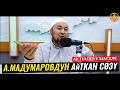 АДАХАН МАДУМАРОВДУН АЙТКАН СӨЗҮ ТУУРАЛУУ. Шейх Чубак ажы