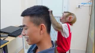 Monkey PuPu worries and helps when Dad has a headache!