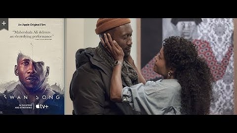 Swan Song Movie Scene-When The Two Lovers Meet in The Train