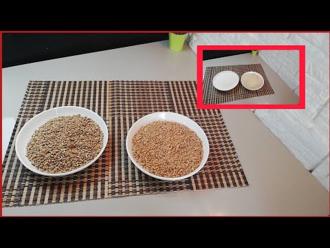 فيديو: ما الفرق بين القمح القاسي واللين؟