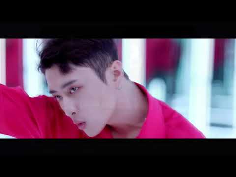 ქარდის პროფაილი | ვიდეო რომელიც (ვერ) დაგეხმარებათ ქარდის გაცნობაში