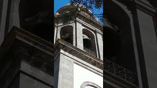 Repique de Campanas - Catedral de los Remedios (San Cristóbal de La Laguna) #campanas #repique