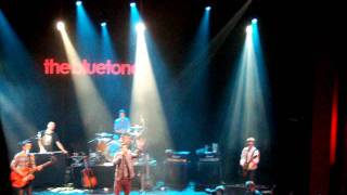 The Bluetones - Zorro