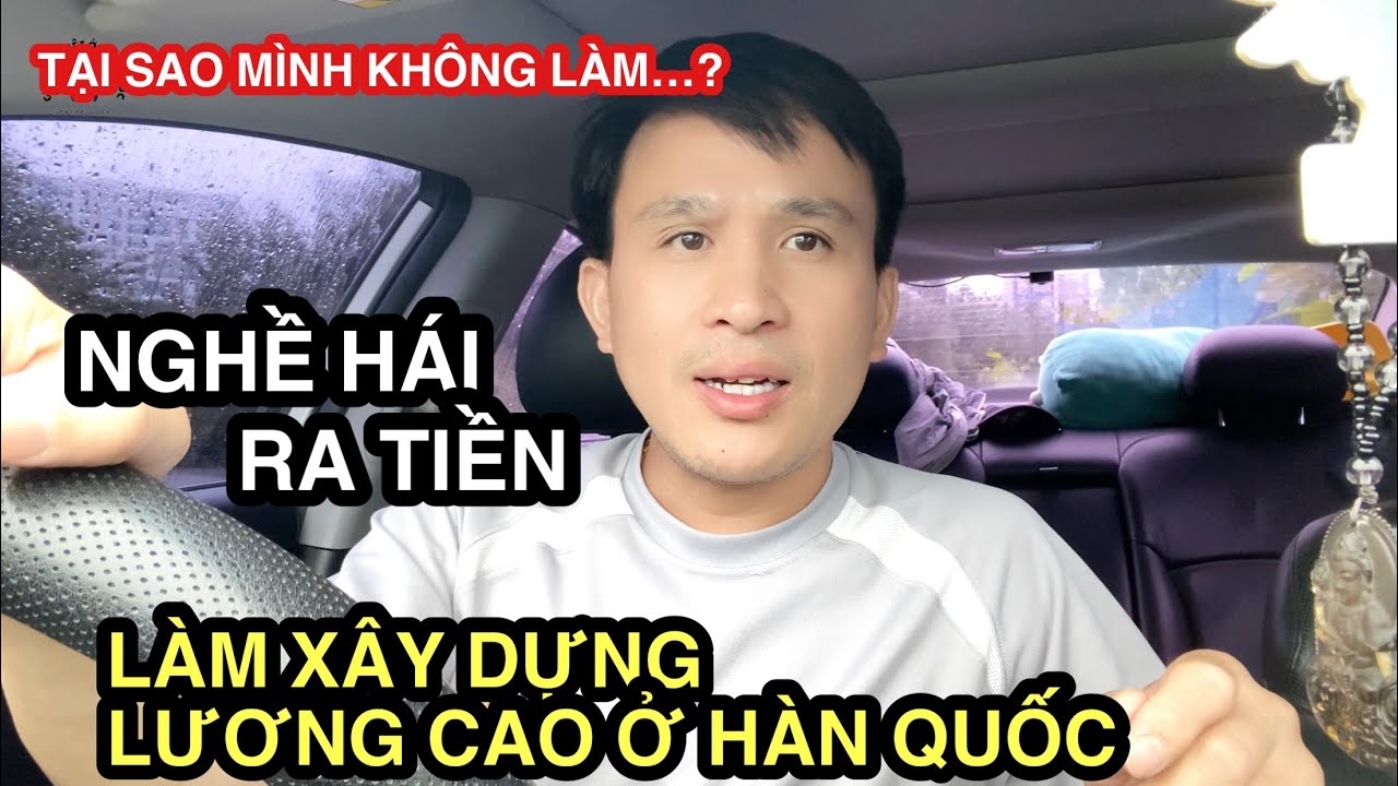 Danh Sách 8 Công Ty Xuất Khẩu Lao Động Tốt Nhất Bến Tre Nên Tham Khảo