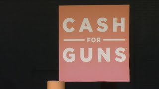 Woman convicted of stealing dozens of guns