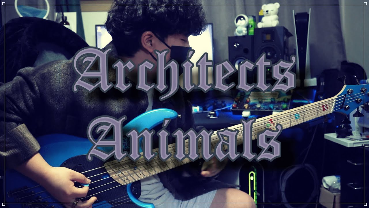 Architects Animals FULL COVER YouTube