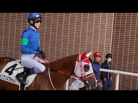8/1 土曜 札幌6鞍 振り返り 馬券はフルスイングも空振り