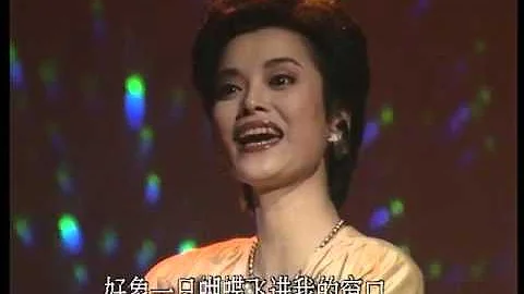 1988年央视春节联欢晚会 女声独唱《思念》 毛阿敏| CCTV春晚 - 天天要闻