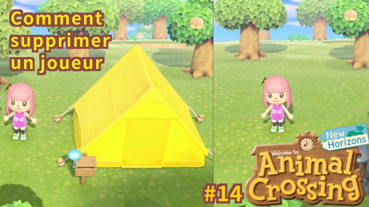 Comment supprimer 2ème joueur 1 console résident secondaire 1 île Animal Crossing New Horizons