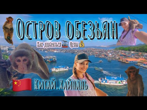 Остров обезьян. Китай, остров Хайнань, Санья. Цены. Как доехать.