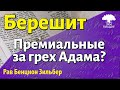 Премиальные за грех Адама? Недельная глава Берешит. Рав Бенцион Зильбер