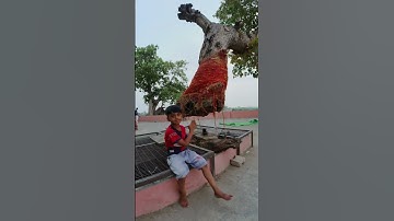 Mahadev #shiv #shivshakti #shivshankar #mahadev #mahashivratrivrat #bholenath #shambhu #shivji