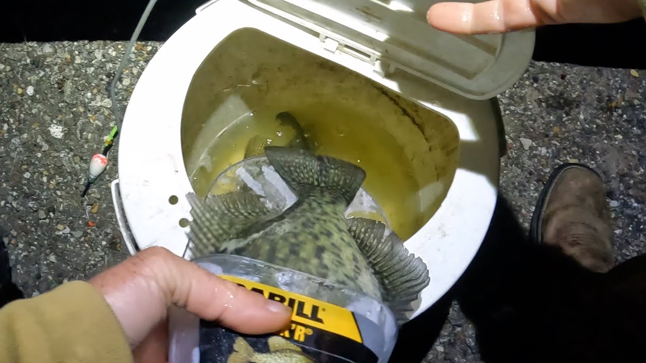 Find The Shad And Catch The Fish | Texas Crappie Fishing