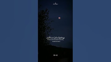 وَالْأَرْضَ وَضَعَهَا لِلْأَنَامِ|القارئ عبد الباسط عبد الصمد|سورة الرحمن #قرآن