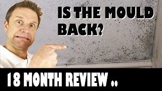 Has the Mould Come Back  18 Month Review?