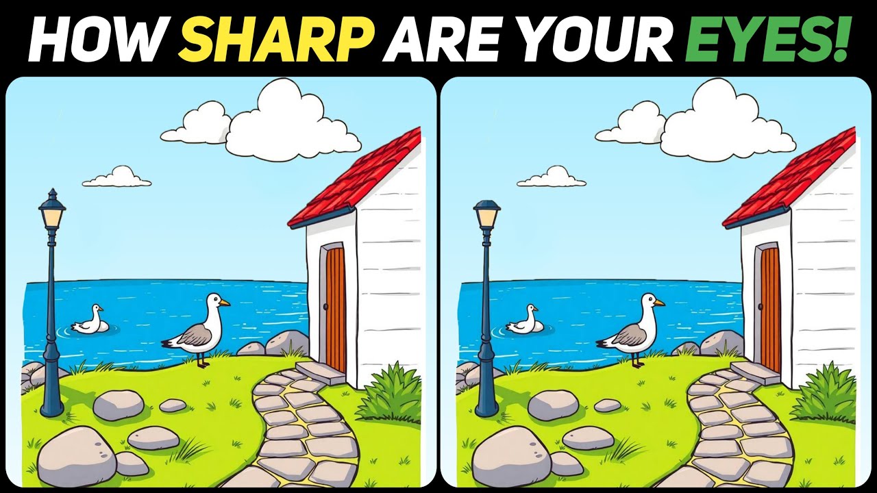 The Difference Is Here — 99% People Miss It