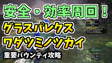 ピンクパレス Mhw ピンクパレス Mhw
