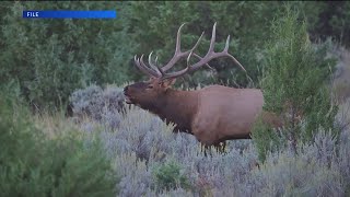 Big game deadline North Dakota