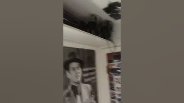 EAS Flash Flood warning 8/7/2019