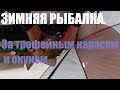 Зимняя рыбалка на карася и окуня