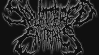 Splattered Entrails - This Room Reaks Of Clitoral Fungus