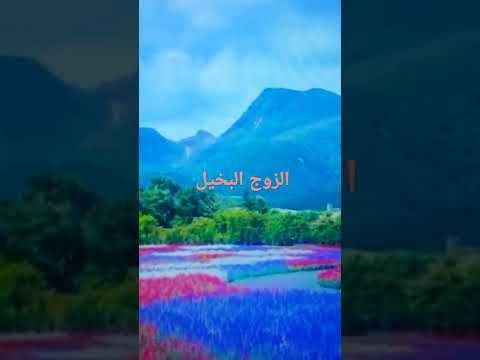 الزواج من الرجل البخيل  الزواج من الرجل البخيل