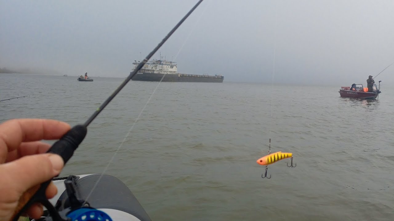 шок судак бьёт на глубине 🐋🎣📽️меньше метра такое впервые #судак #рыбалка #осень #топ #природа #дон