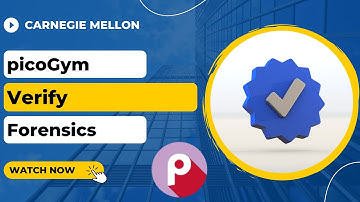 picoGym (picoCTF) Exercise: Verify