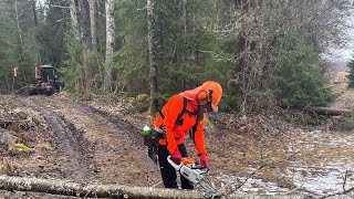 Kvinna med Stihl. #valtra #Moheda#stihl #Husqvarna