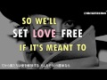 赤西仁: Set Love Free(Lyric Video) 和訳