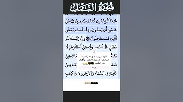 سورة النمل الآية 72 #قرآن #تلاوات #سورة