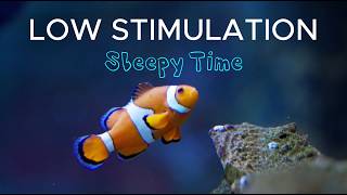 2+ Hours of Calm Lullaby Instrumentals | Low Stimulation Sleep Music for Babies & Toddlers screenshot 4