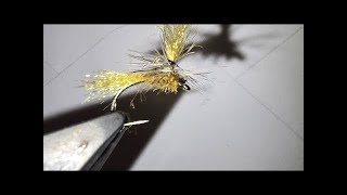 chat & flytying