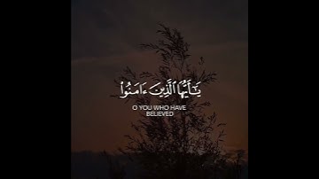 إن الله وملائكته يصلون على النبي يا أيها الذين آمنوا صلوا عليه وسلموا تسليما | القارئ مختار الحاج